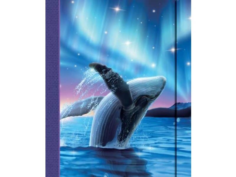 Grand journal baleine boréale