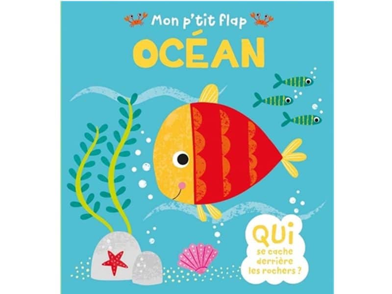 Mon p'tit flap océan
