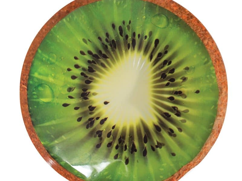 Paquet de 2 icepacks Geo - Kiwi