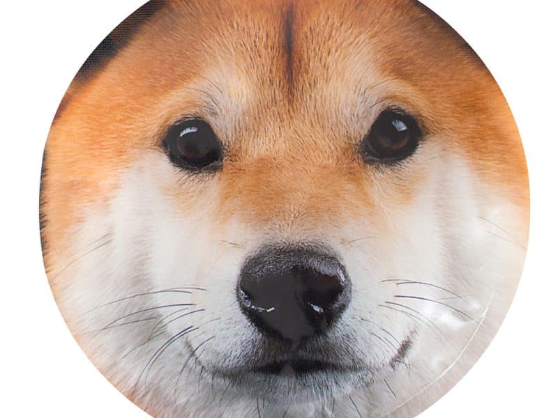 Paquet de 2 icepacks Geo - chien