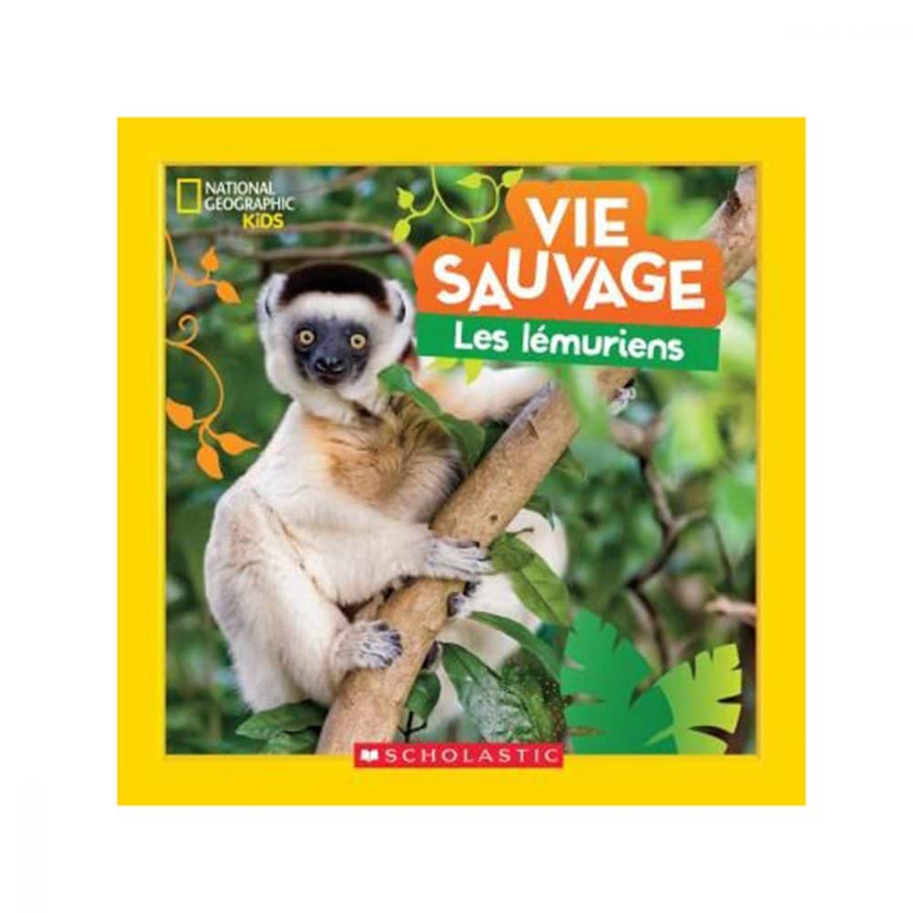 Vie sauvage Les lémuriens