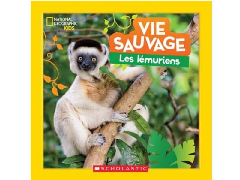 Vie sauvage Les lémuriens