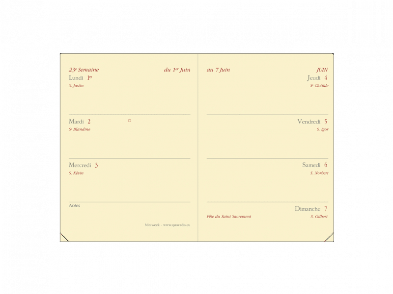Recharge agenda Quo Vadis Mini week 2.25 x 4 po