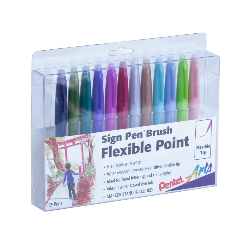 Ensemble de 12 brush pen Pentel