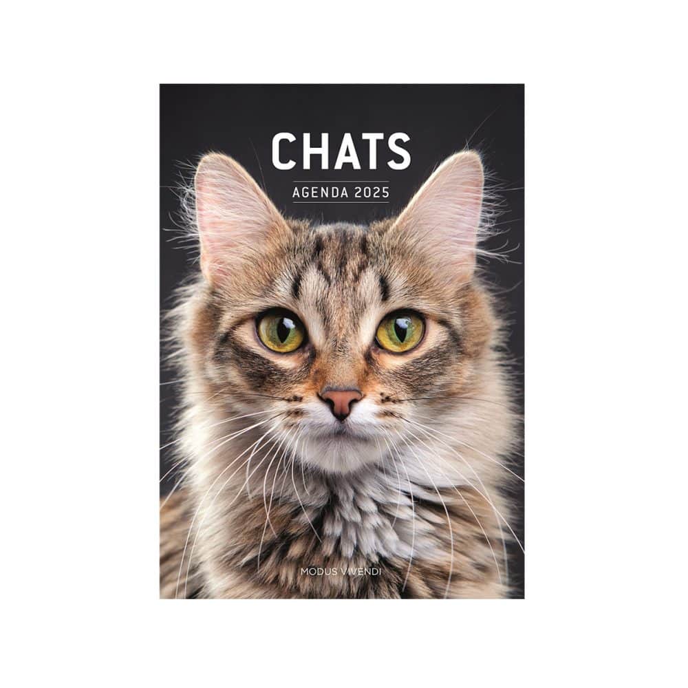 Agenda 2025 Chats