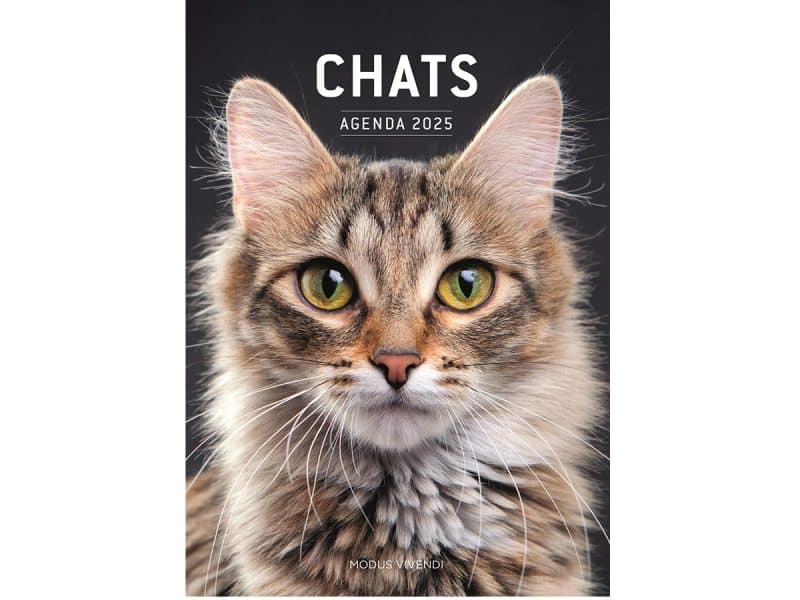 Agenda 2025 Chats