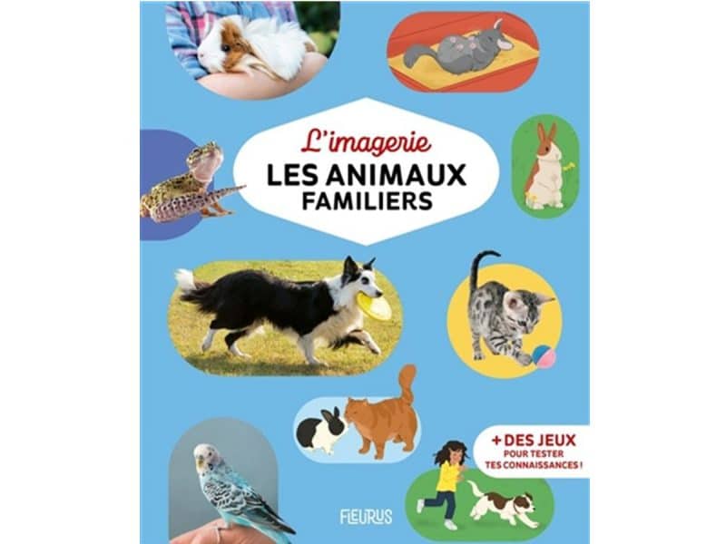 L'imagerie Les animaux familiers
