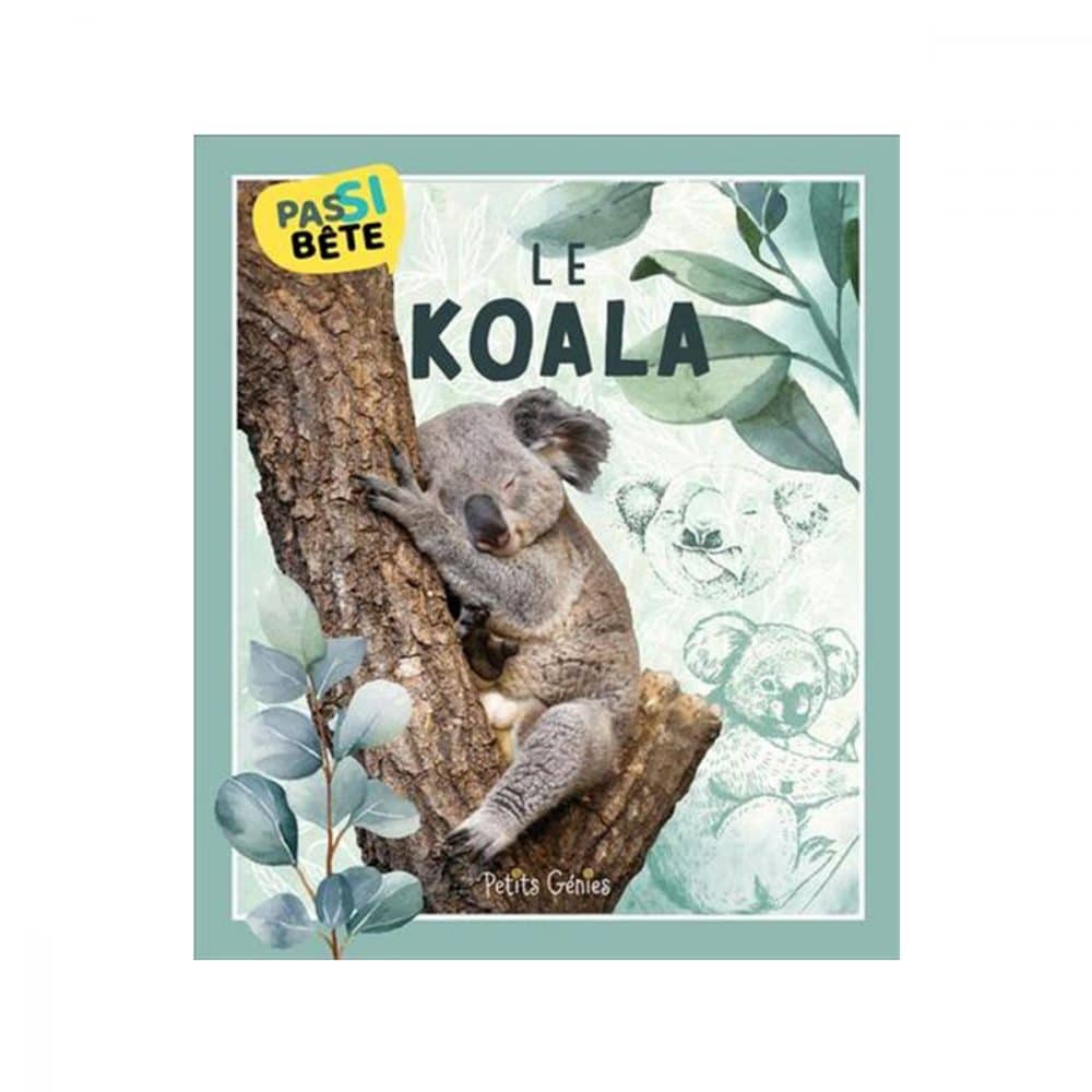 Pas si bête Le Koala