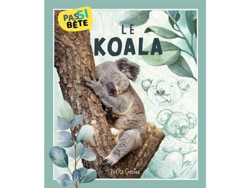 Pas si bête Le Koala