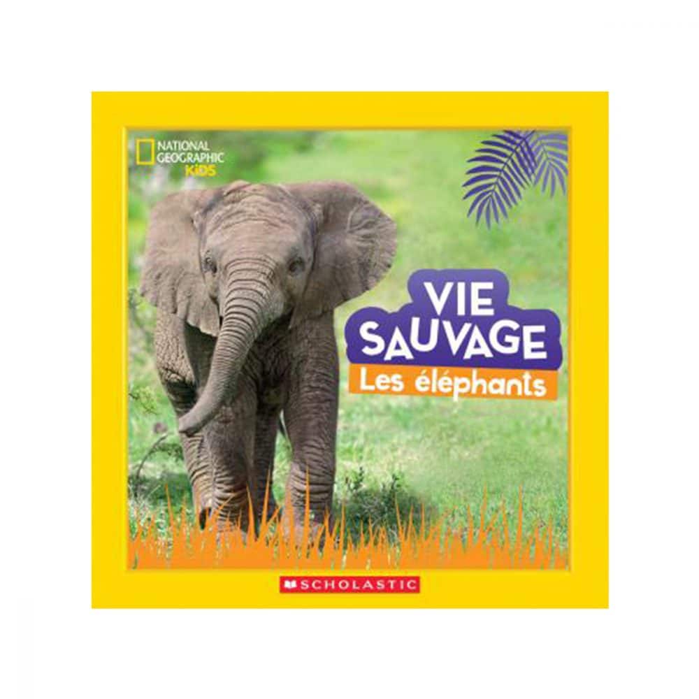 Vie sauvage Les éléphants