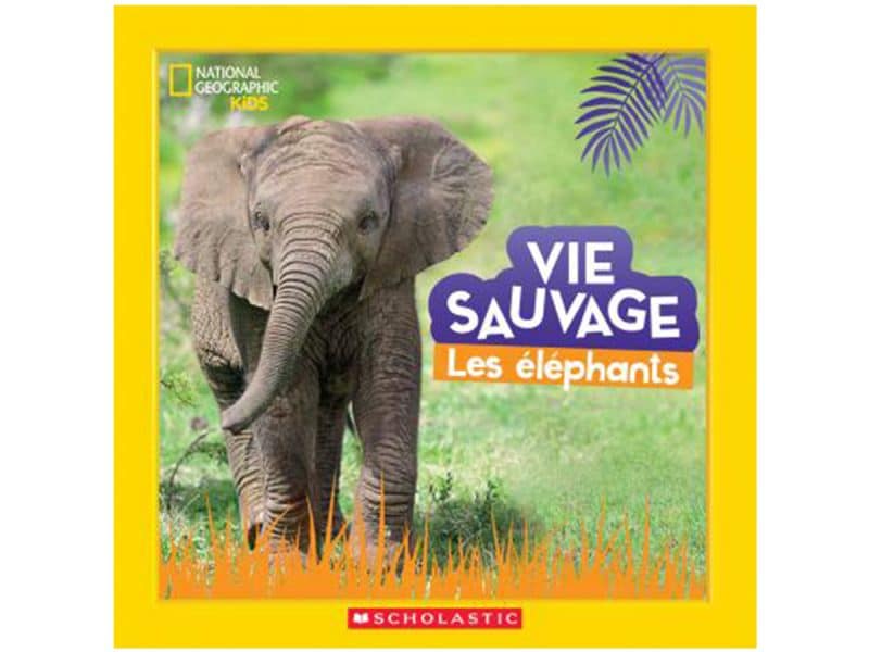 Vie sauvage Les éléphants
