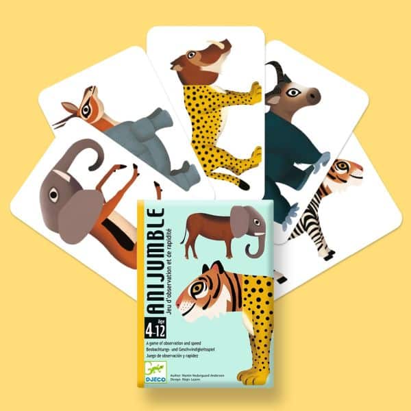 Jeu Anijumble – Image 3