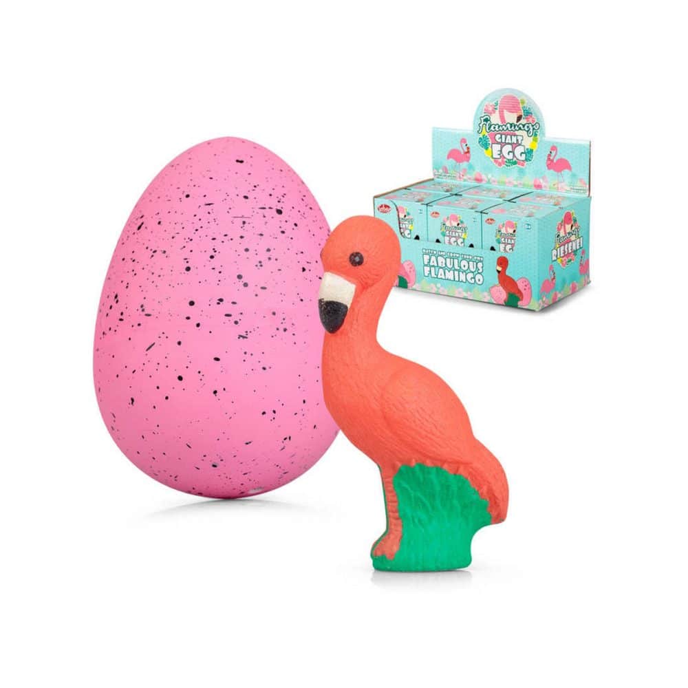 Oeufs géants de flamants roses