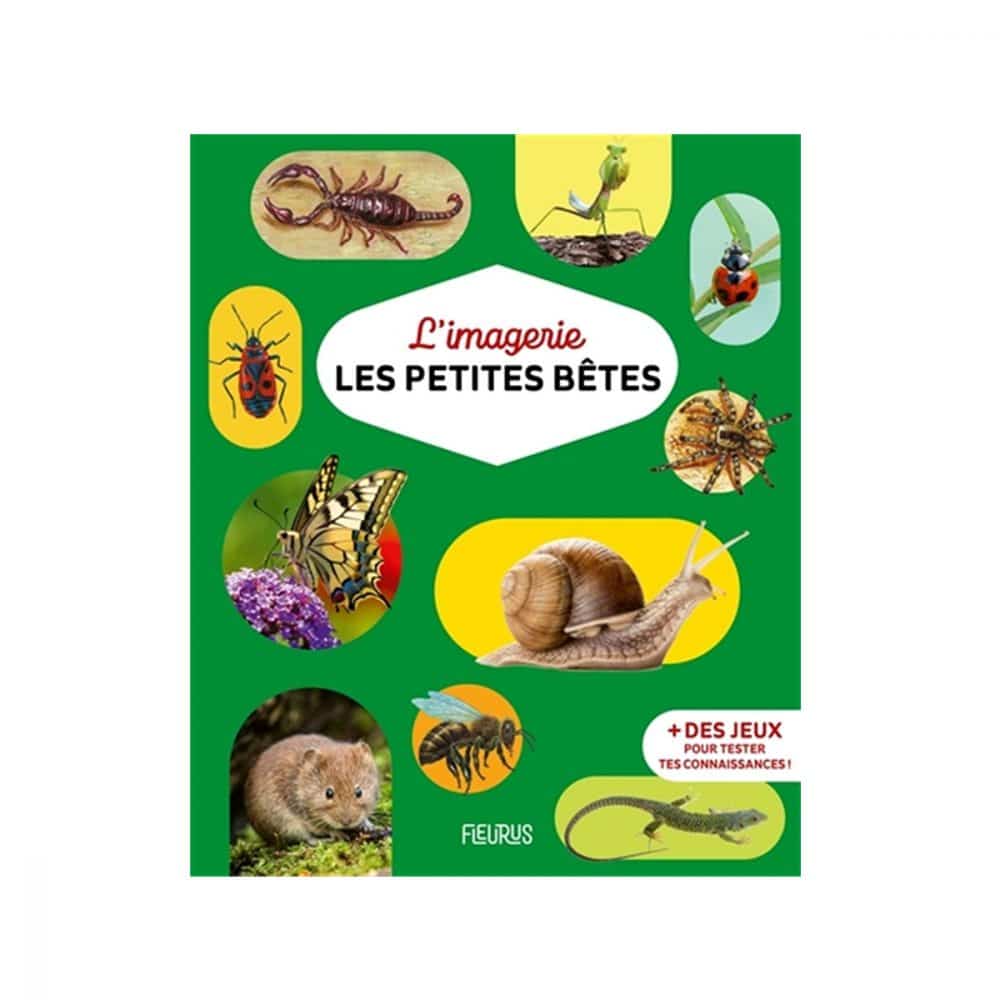 L'imagerie Les petites bêtes