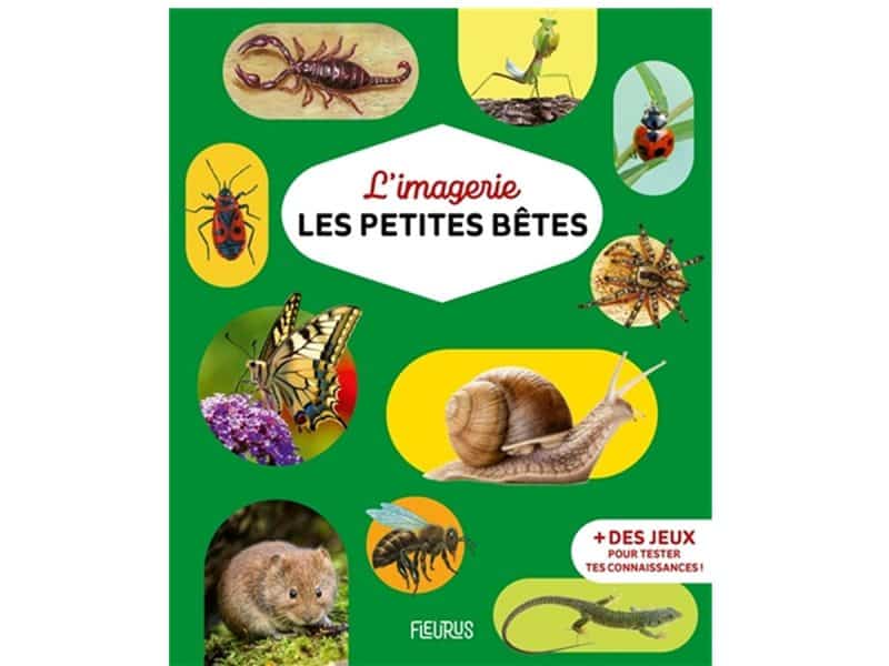 L'imagerie Les petites bêtes