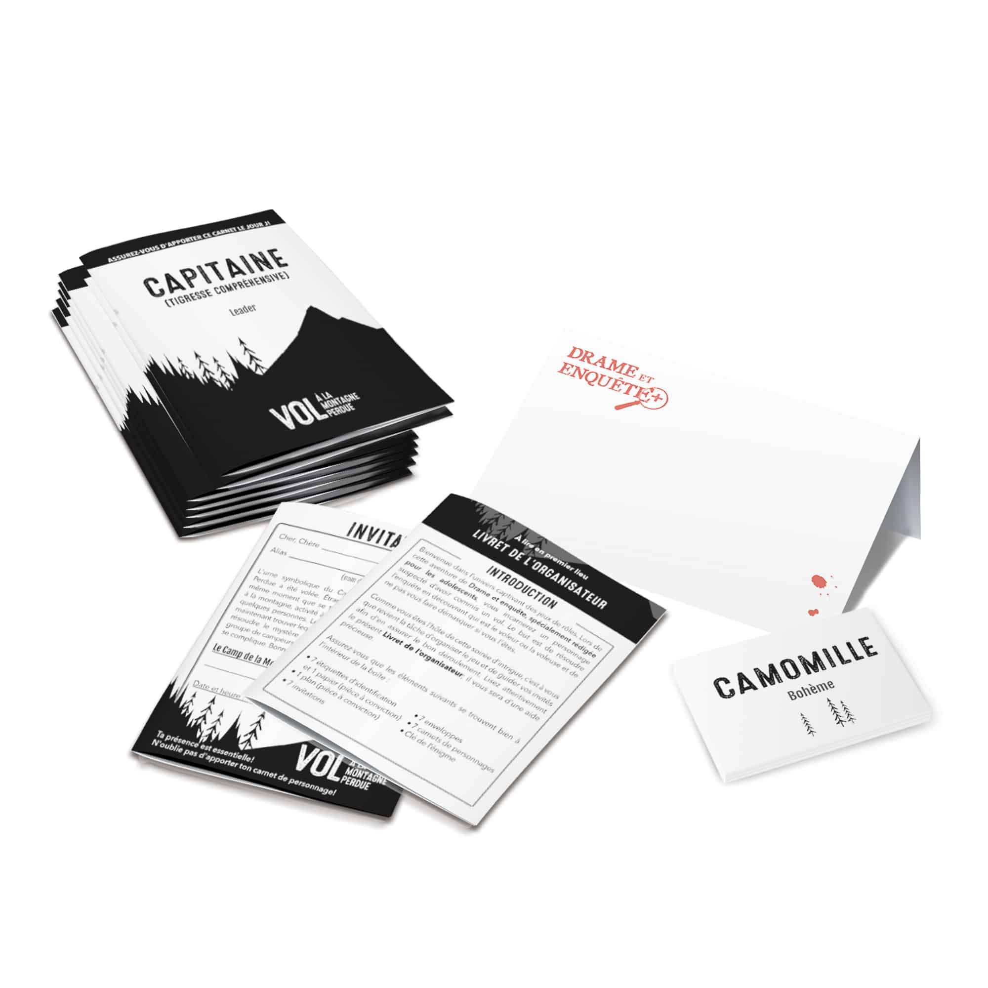 Jeu Drame et Enquête - Vol à la montagne perdue – Image 2