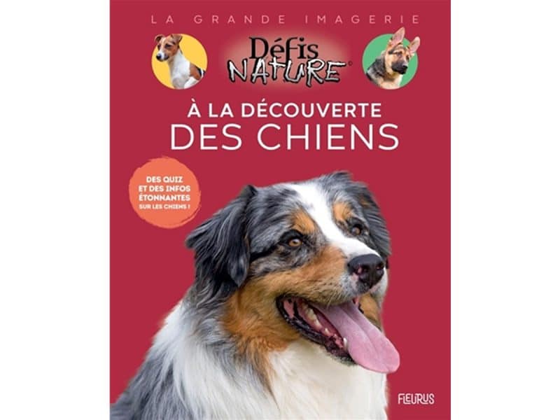 La grande imagerie Défis Nature Les chiens