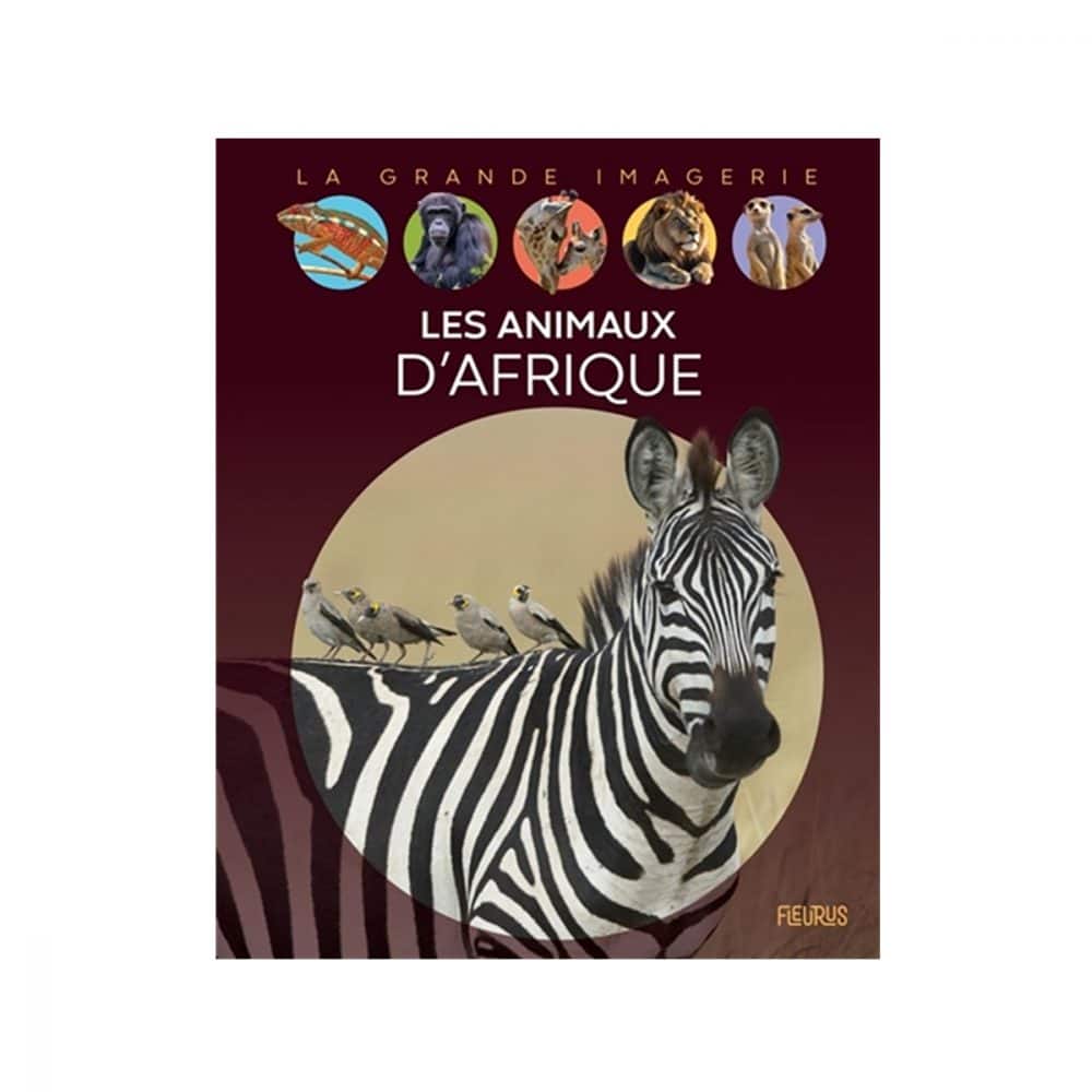 Les animaux d'Afrique La grande imagerie