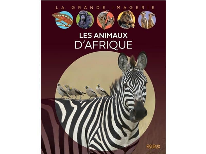 Les animaux d'Afrique La grande imagerie