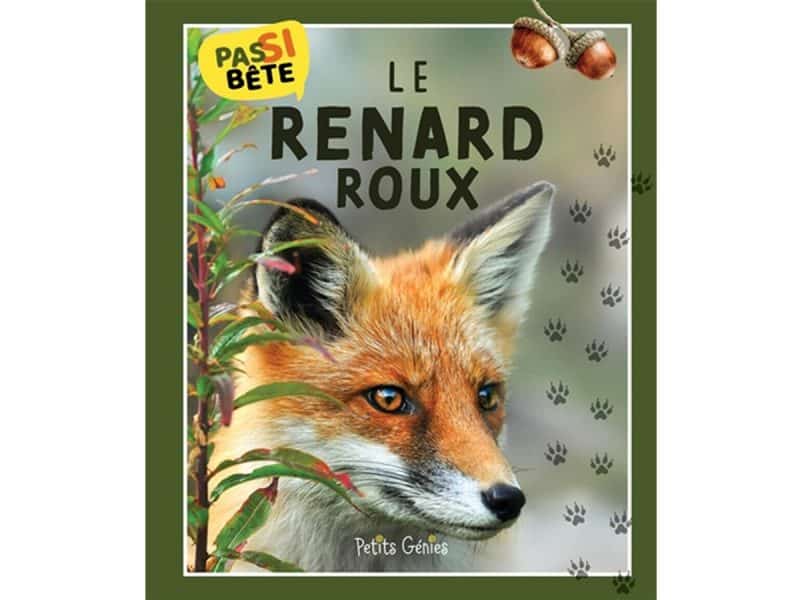 Pas si bête Le renard roux