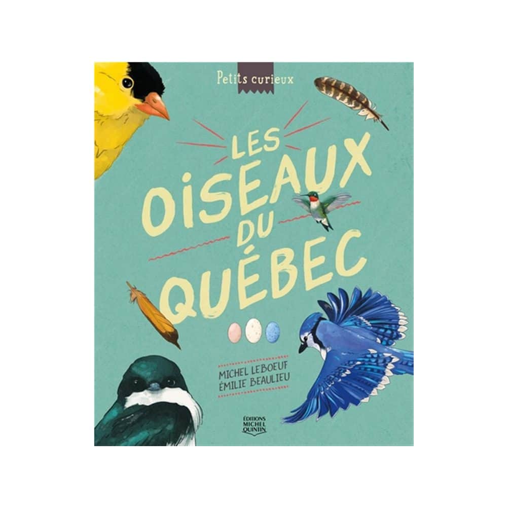 Petits curieux Les oiseaux du Québec