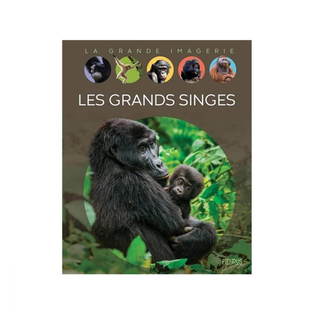La grande imagerie Les grands singes