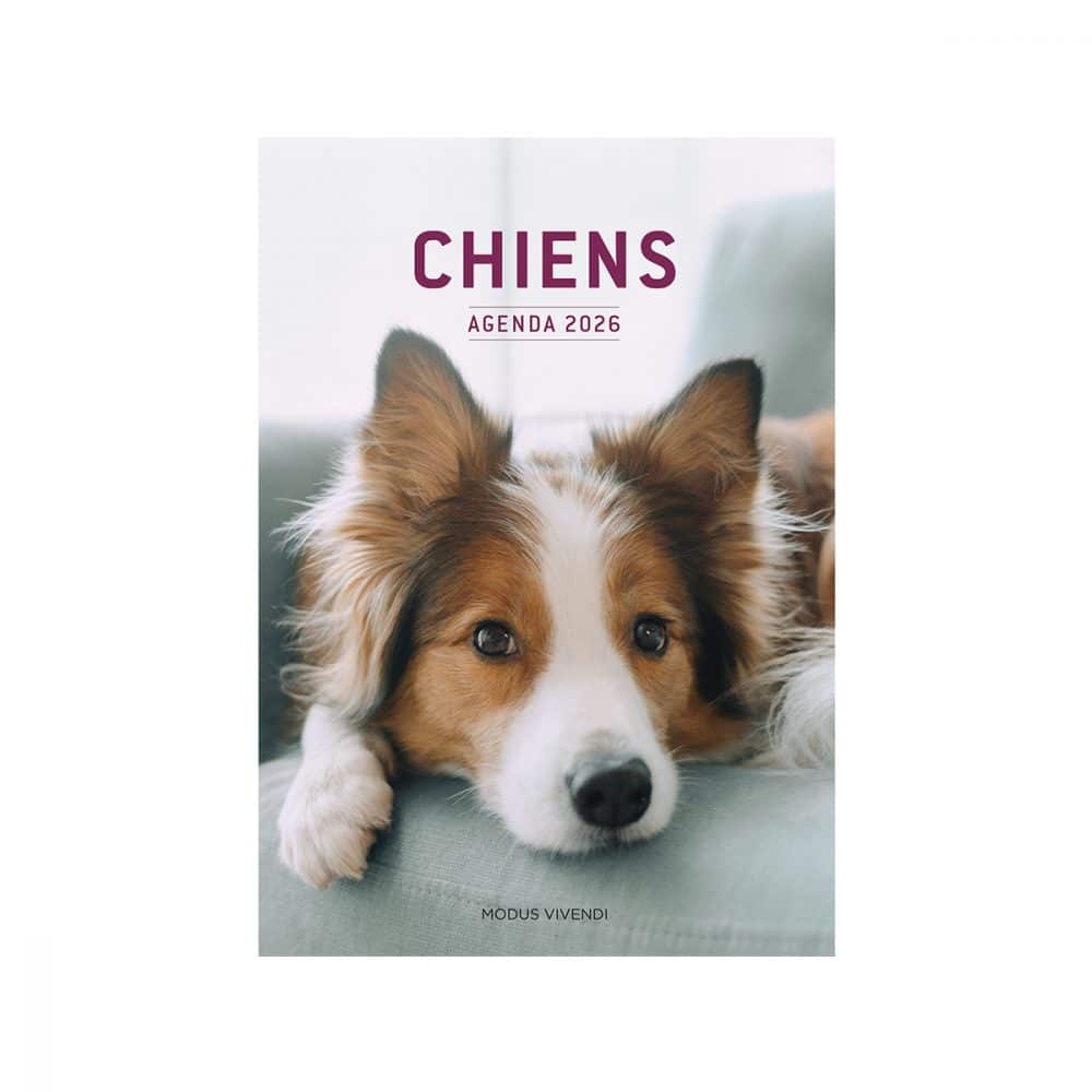 Agenda des Chiens 2026