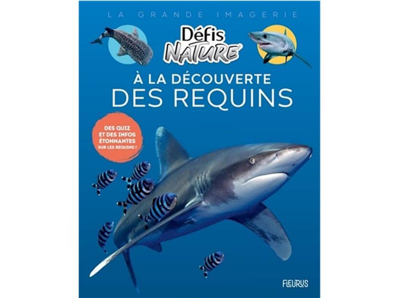 La grande imagerie Défis nature Les requins