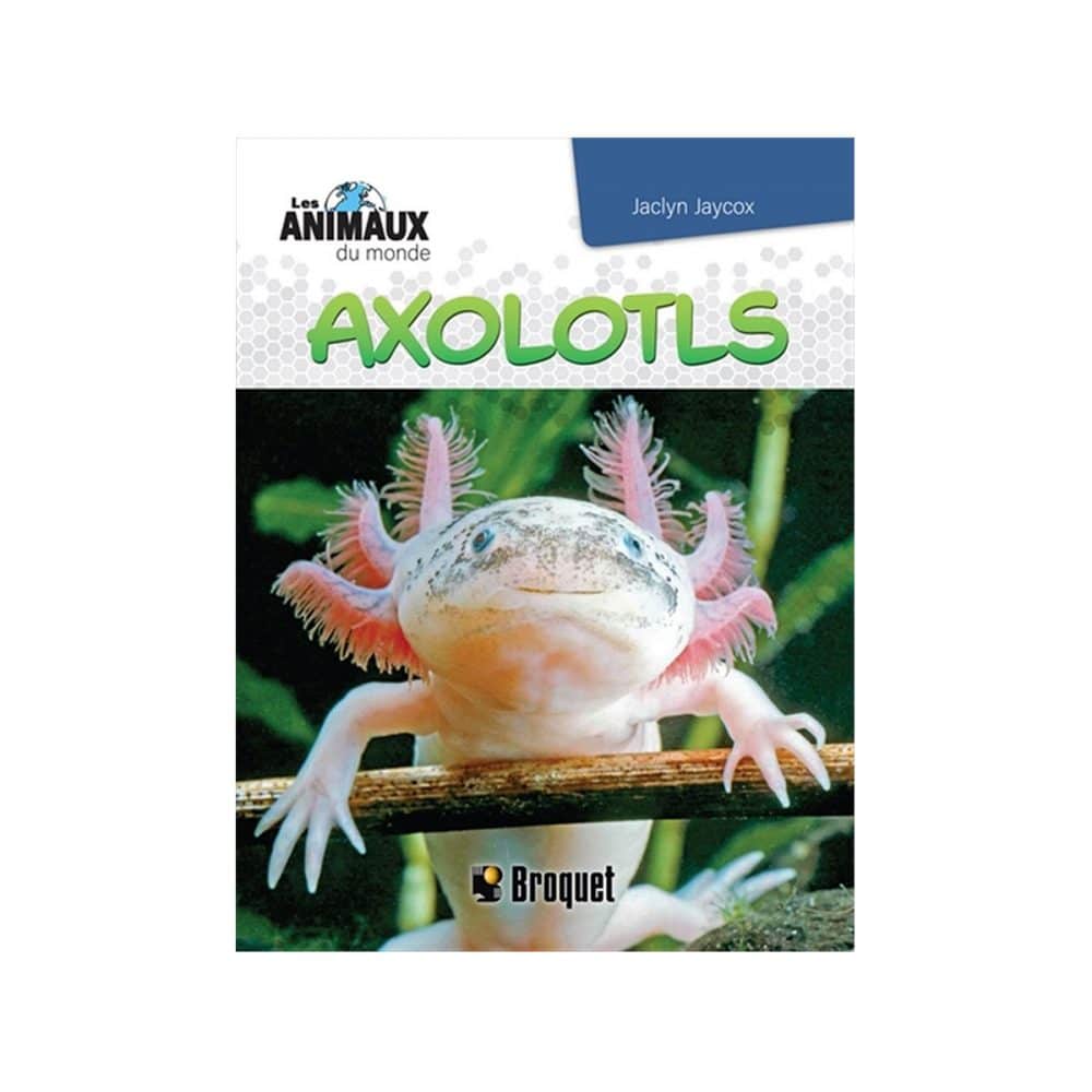 Les animaux du monde Axolotls