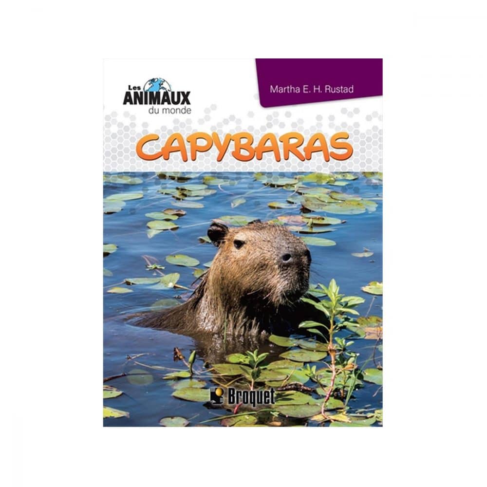 Les animaux du monde Capybaras