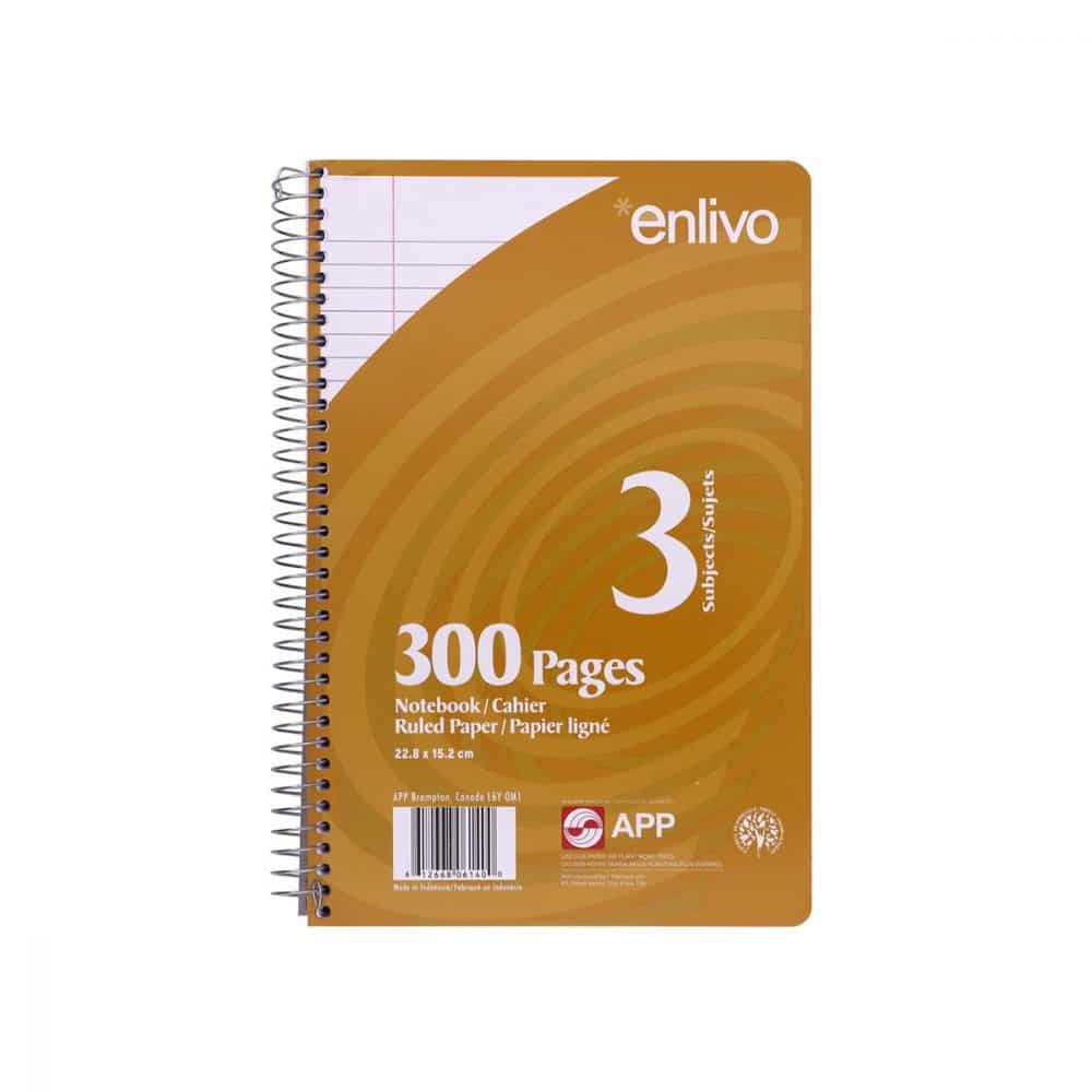 Cahier d'exercices ligné 9 x 6 300 pages