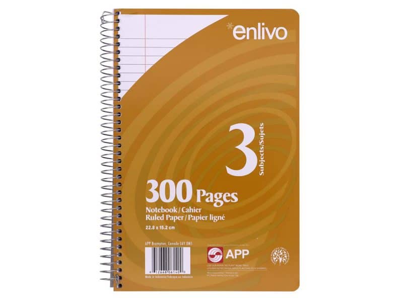 Cahier d'exercices ligné 9 x 6 300 pages