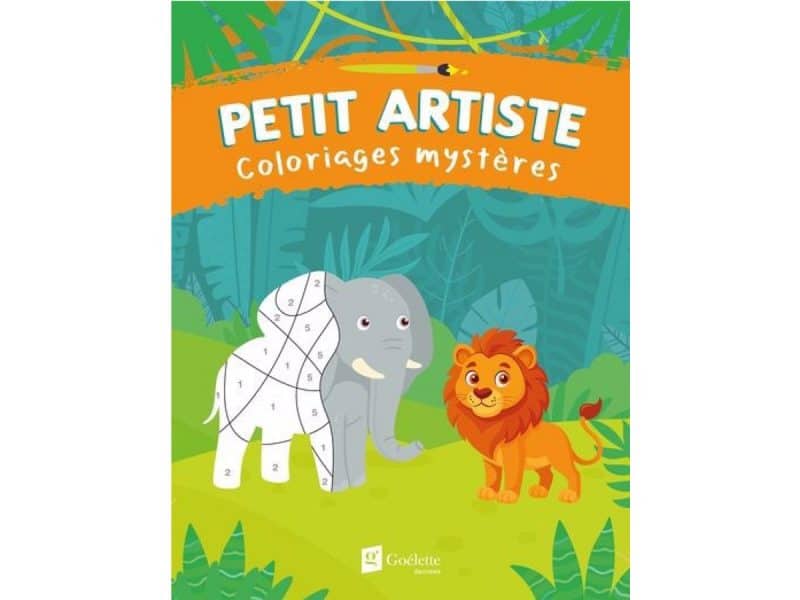 Petit artiste Coloriages mystères