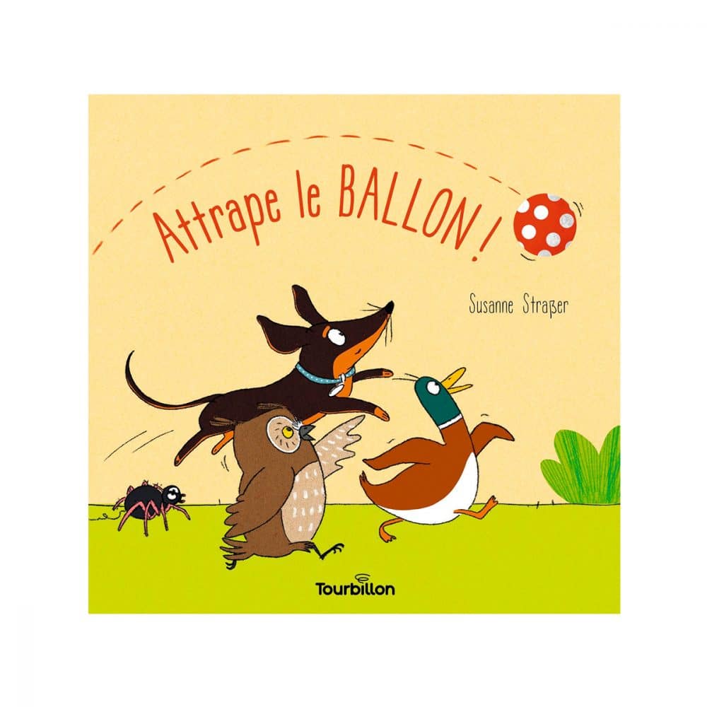 Attrape le ballon!