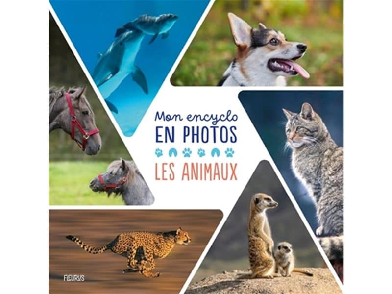 Mon encyclo en photos Les animaux