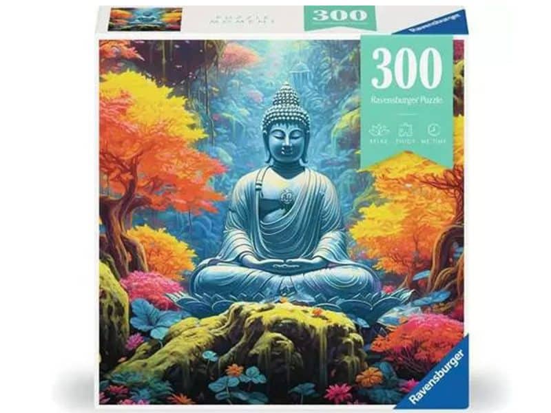 Casse-tête Moment 300pces