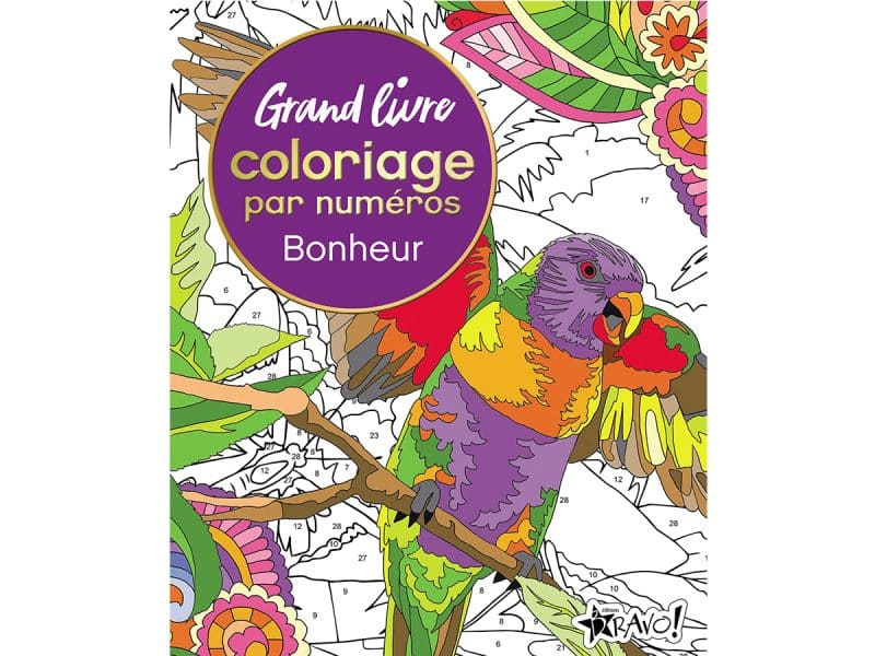 Grand livre de coloriages par numéros Bonheur