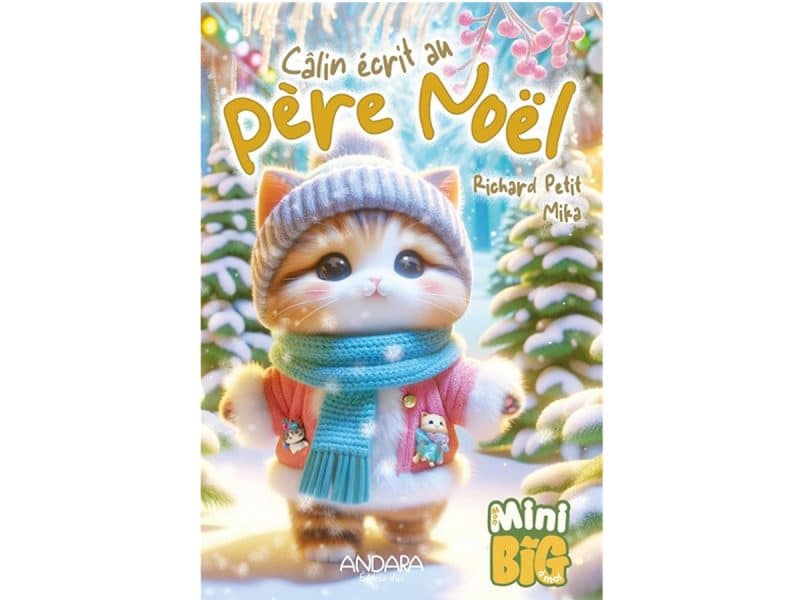Câlin écrit au Père Noël MiniBig
